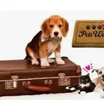 Pagar - With Hydromassage Pool, Pets Friendly * פובליאנה