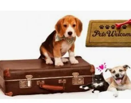 Pagar - With Hydromassage Pool, Pets Friendly * 波弗加纳