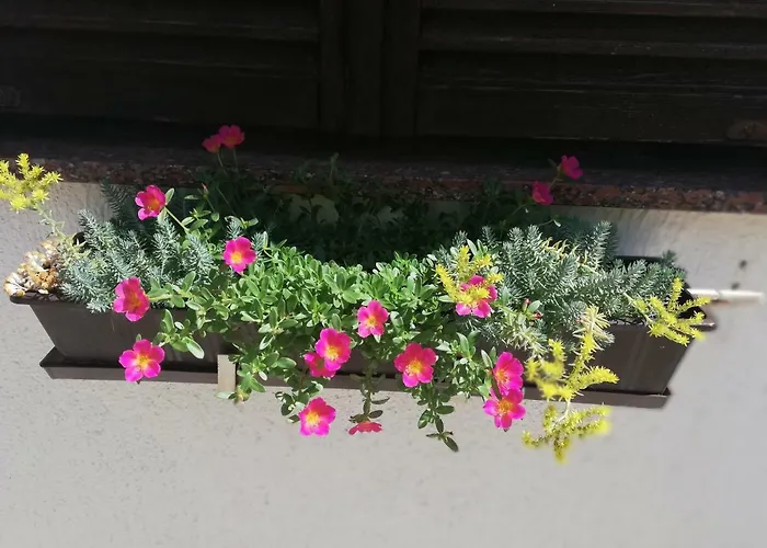 Pagar - With Hydromassage Pool, Pets Friendly Povljana