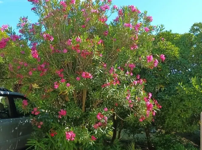 Pagar - With Hydromassage Pool, Pets Friendly *