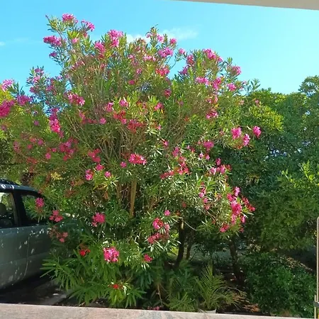 Pagar - With Hydromassage Pool, Pets Friendly And Fresh Interior 2026 *