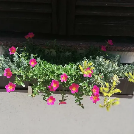 Pagar - With Hydromassage Pool, Pets Friendly And Fresh Interior 2026 Povljana