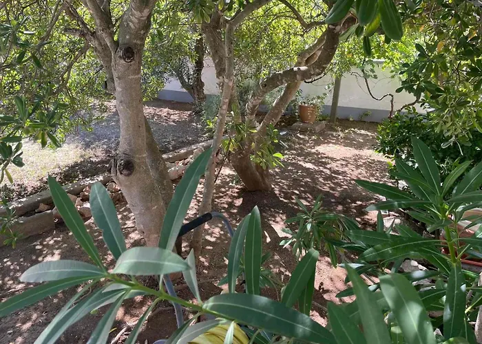 Pagar - With Hydromassage Pool, Pets Friendly *